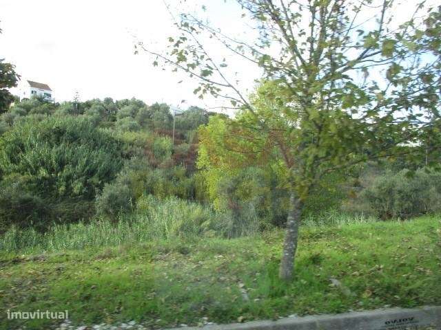 Loteamento  Venda em Abrantes (São Vicente e São João) e Alferrarede,A-8
