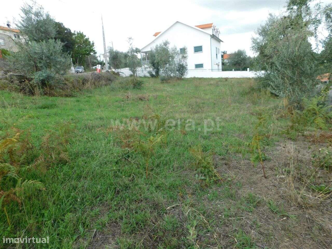 Terreno / Gouveia, Moimenta da Serra e Vinhó - Grande imagem: 4/6