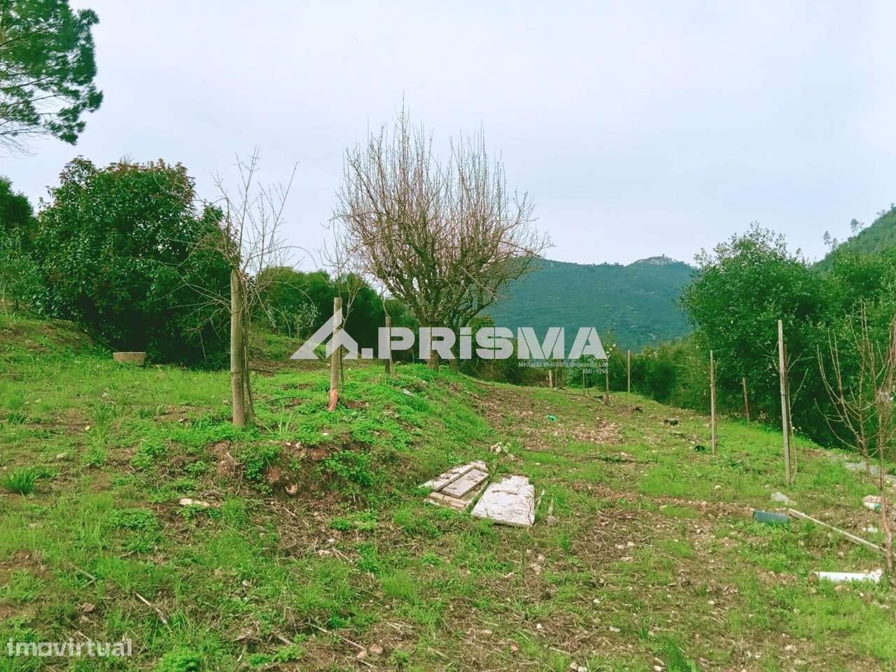 Terreno para venda em Vila Velha de Ródão - Grande imagem: 4/22