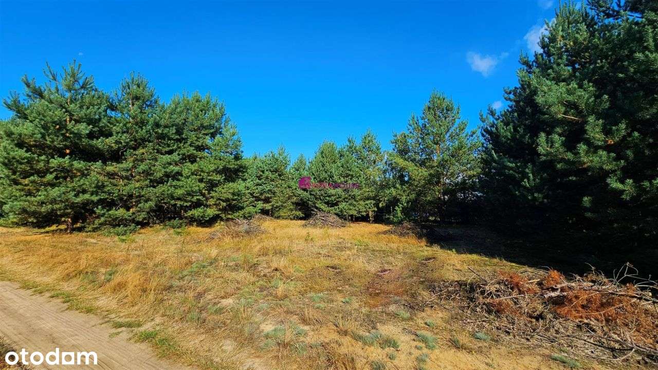 Zamieszkaj W Burlakach-2