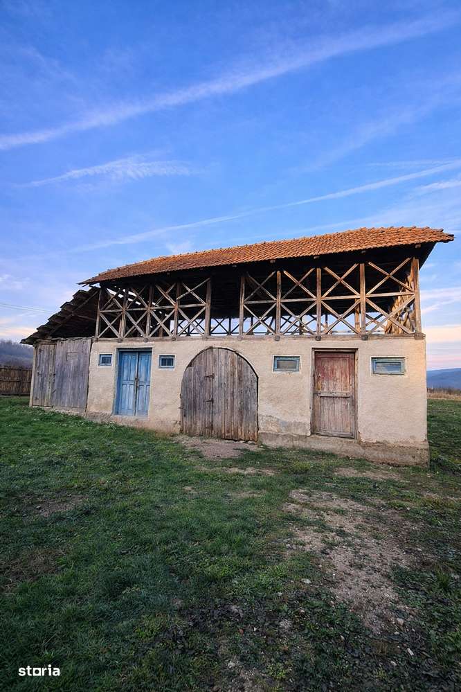 Teren 4.443 mp intravilan + extravilan N.Bălcescu,Pleșoiu, jud. Valcea - Imagine principală: 5/12