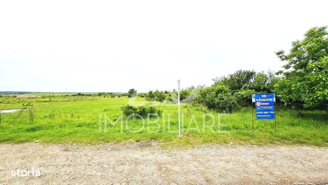 Teren strada Narciselor - Imagine principală: 5/13