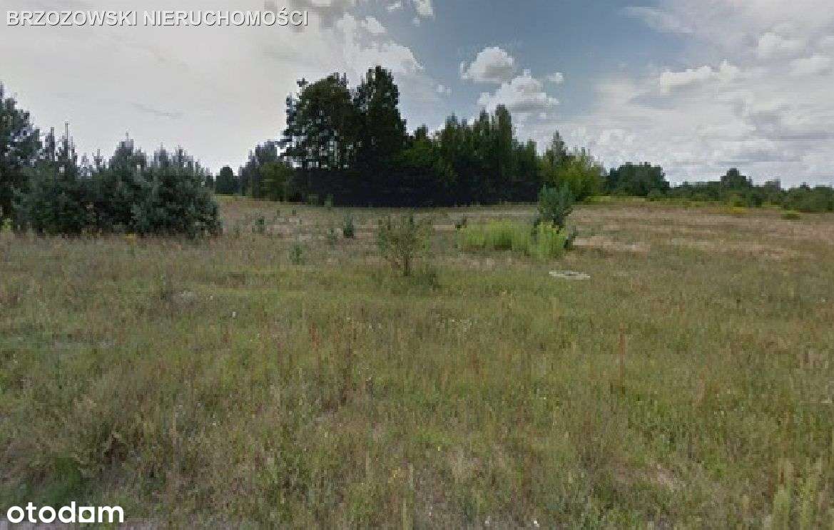 Żółwin, działka inwestycyjna, 127 200 m2.-1