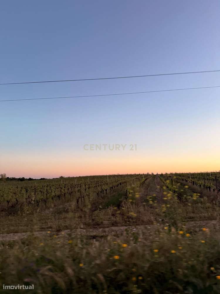 Magnifica T3 com Piscina no Corval-34