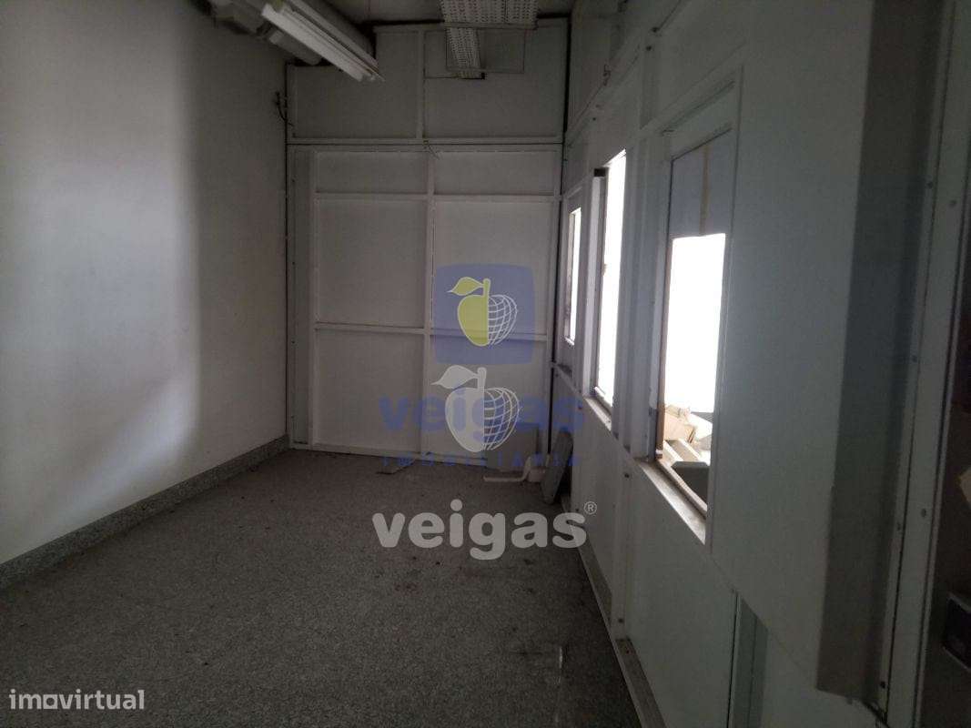 Loja Caldas da Rainha - Nossa Senhora do Pópulo - Grande imagem: 4/10