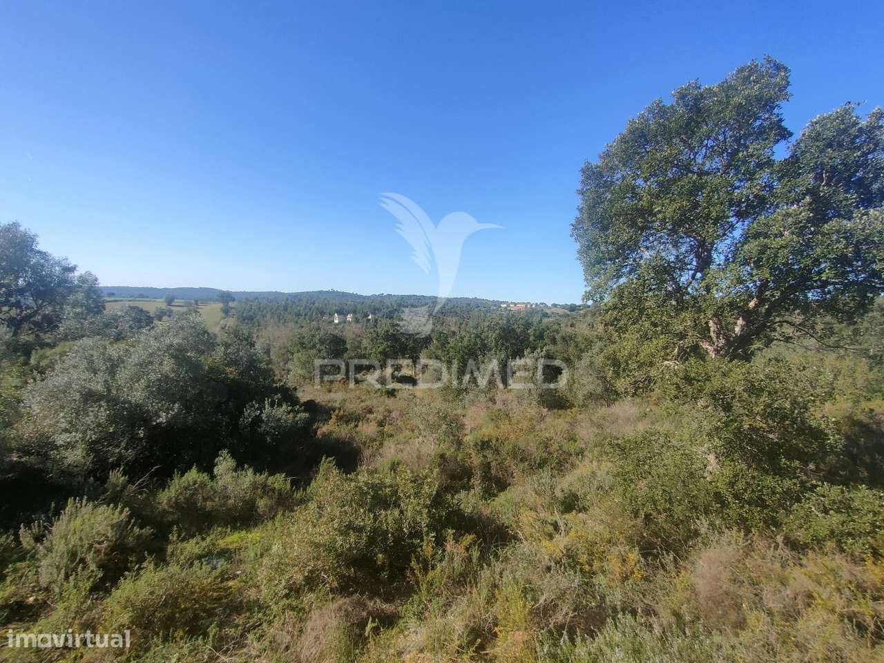 Terreno Rústico - Monsanto, Alcanena - Grande imagem: 4/9