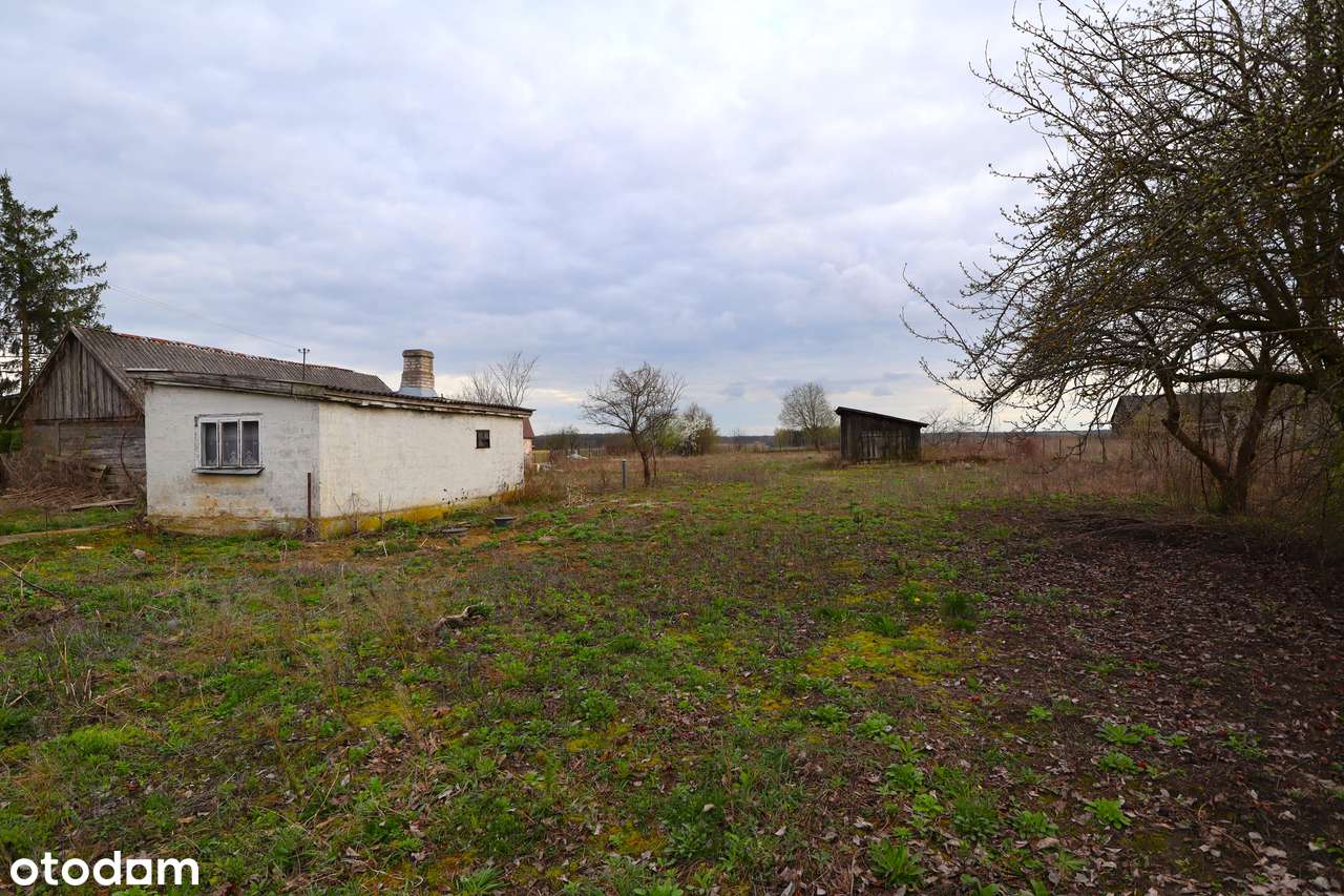 Klimatyczne siedlisko na sprzedaż- dom w środku po generalnym remoncie - Pełny obrazek: 4/13