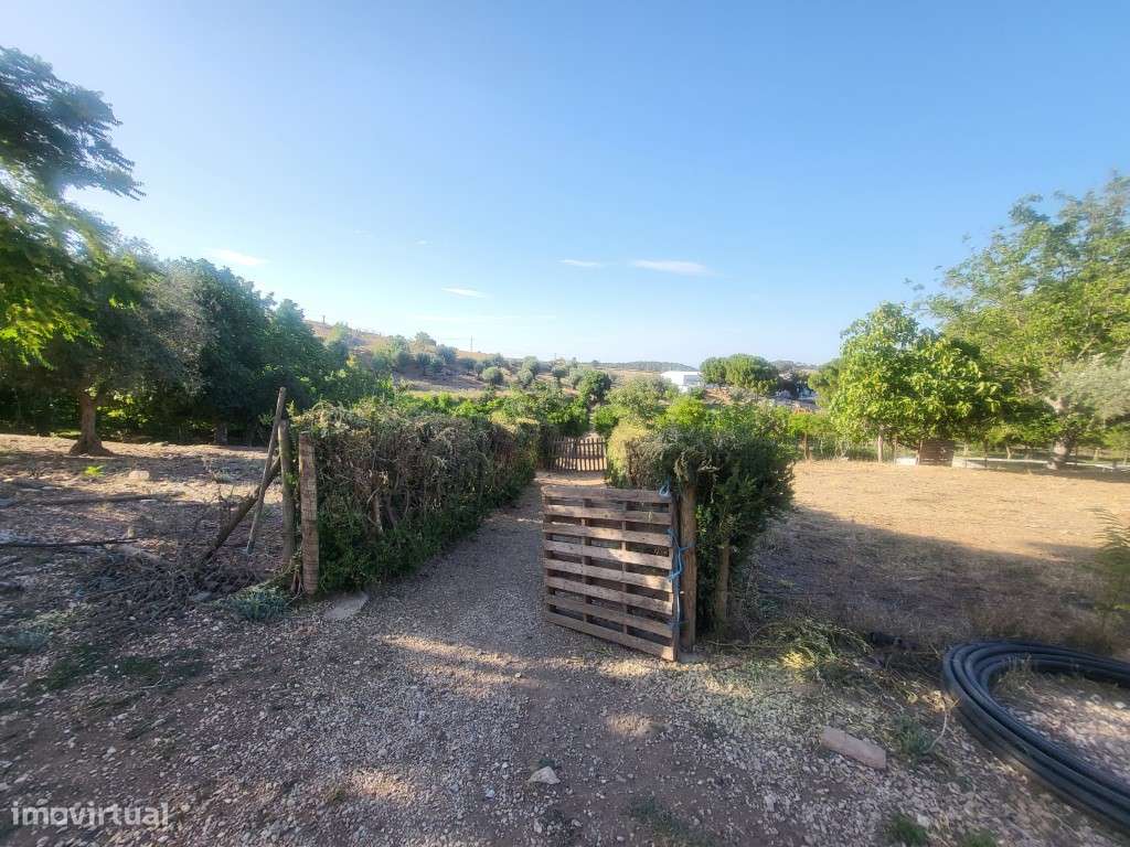 Quinta com 28.250 m2, no centro de Vila Viçosa - Grande imagem: 5/48