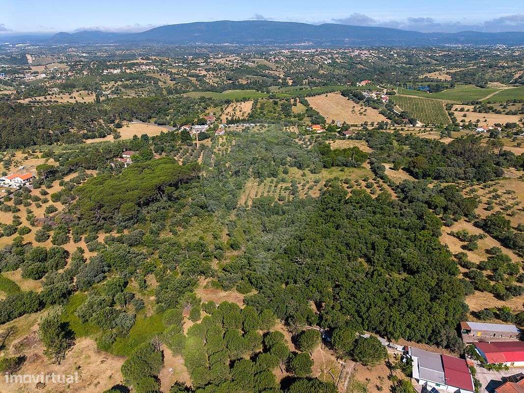 Terreno  para venda-15