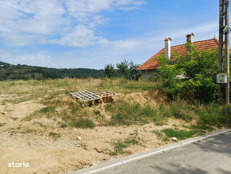 teren intravilan de vanzare in Saliste-7