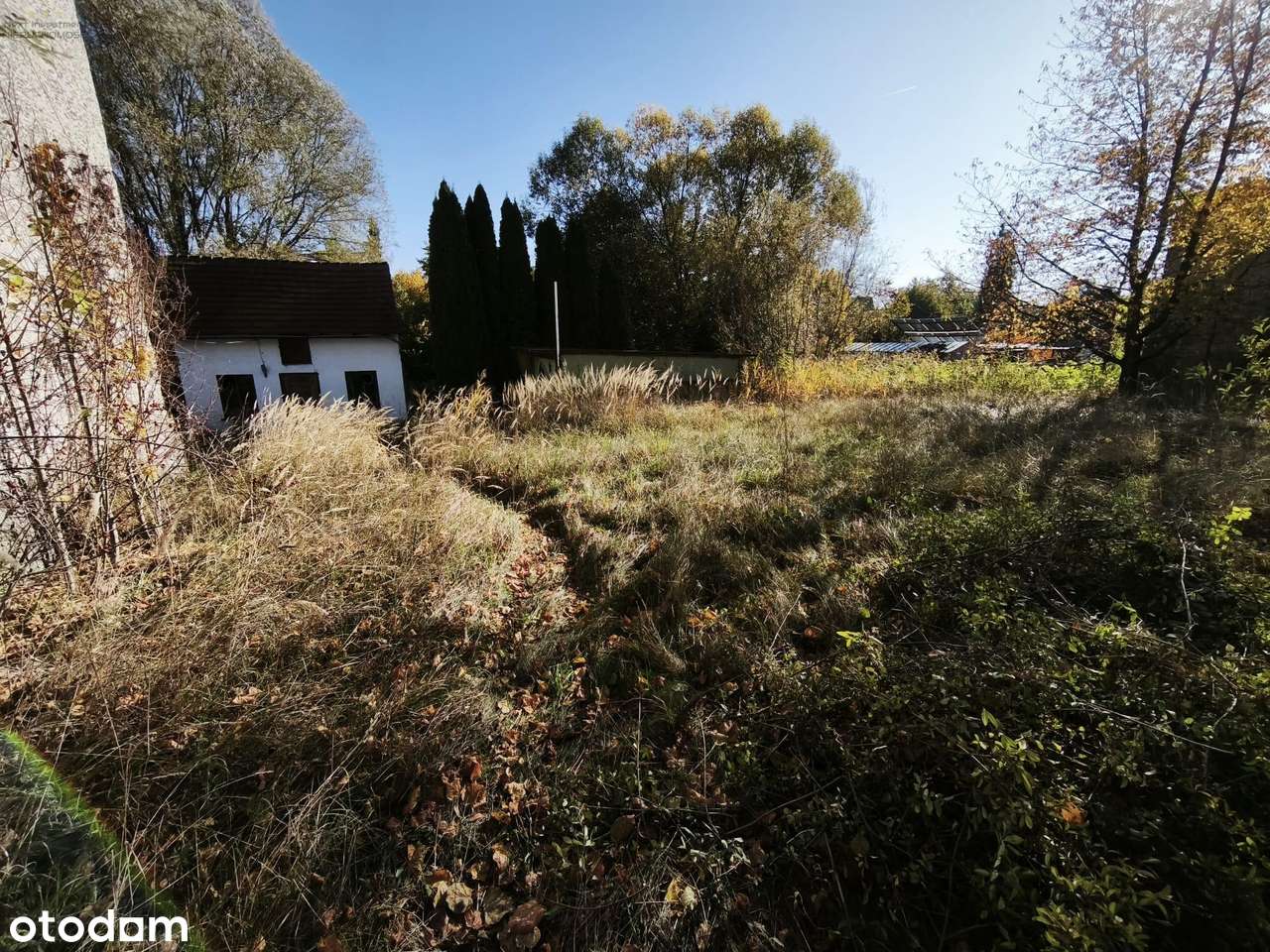 Dom wolnostojący duża działka strumień Paczyna-5