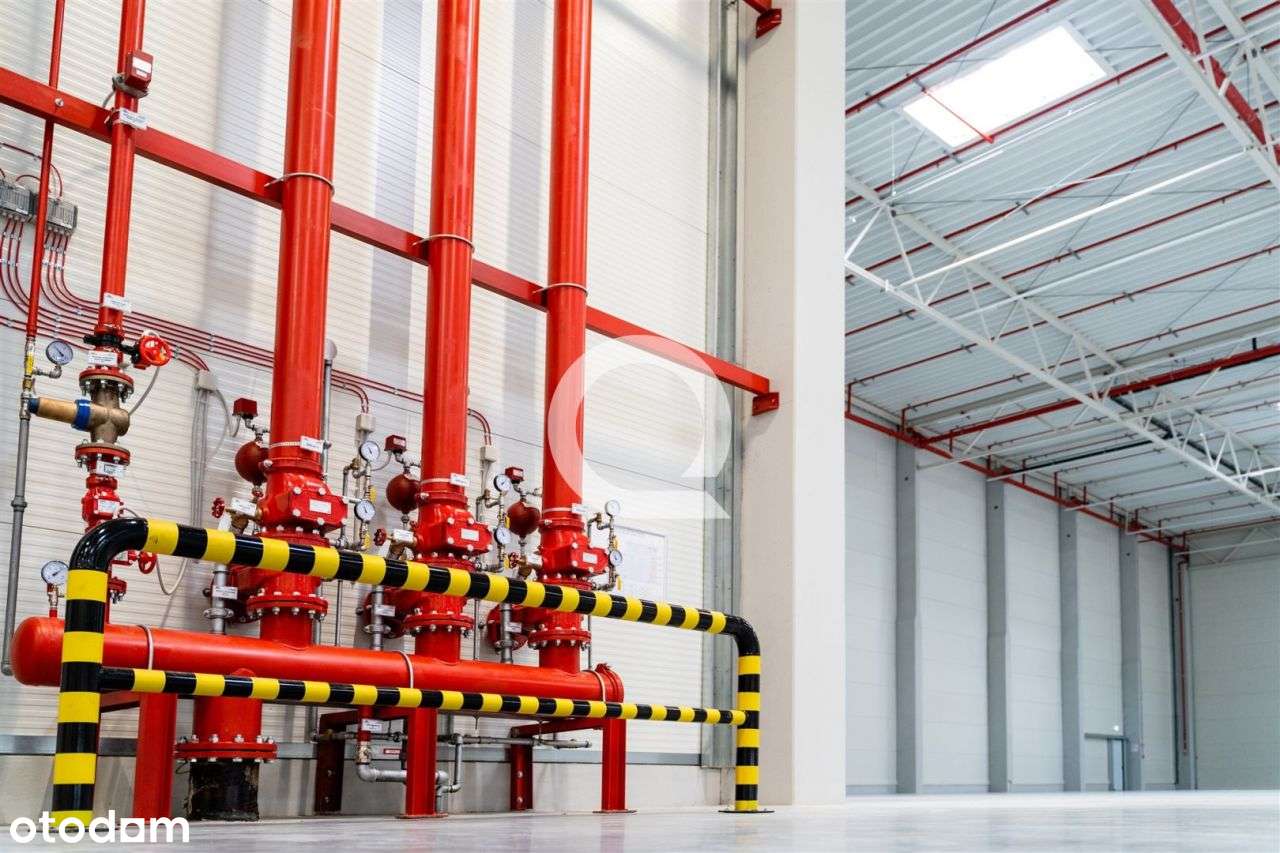 A-Klasowy Magazyn W Legnicy! - Pełny obrazek: 3/4