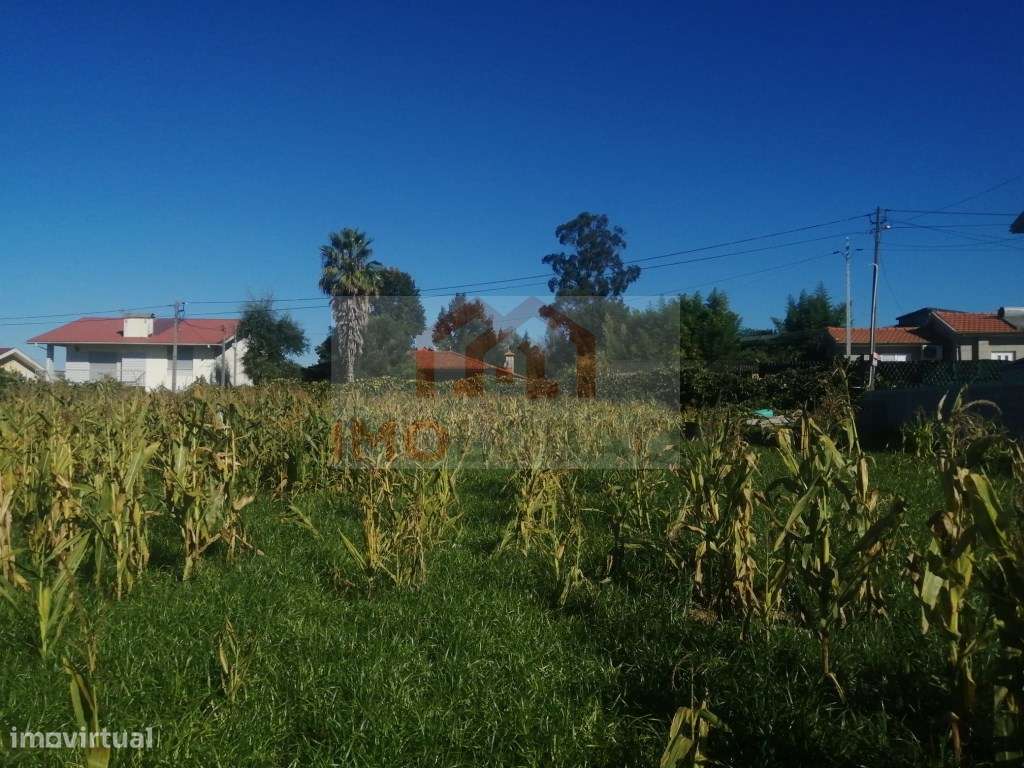 TERRENO P/ CONSTRUÇÃO - LOBÃO - Grande imagem: 2/5