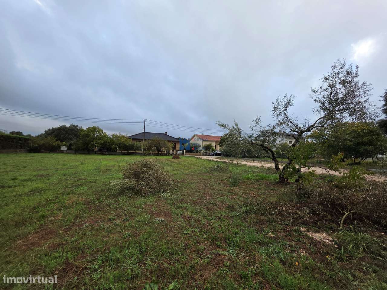 Lotes de Terreno para Construção em Fátima-11