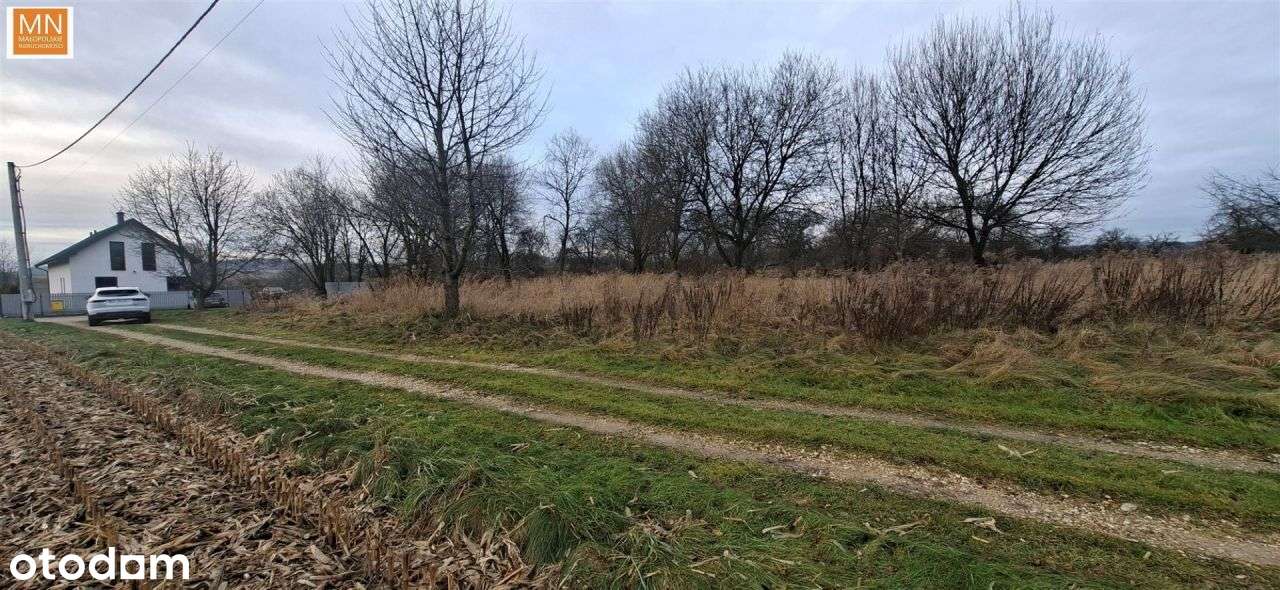 Morawica,Liszki, działka z pozwolniem - Pełny obrazek: 5/20