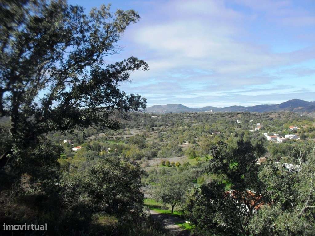 Propriedade Rural com Projeto Aprovado, Loulé, Algarve - Grande imagem: 3/9