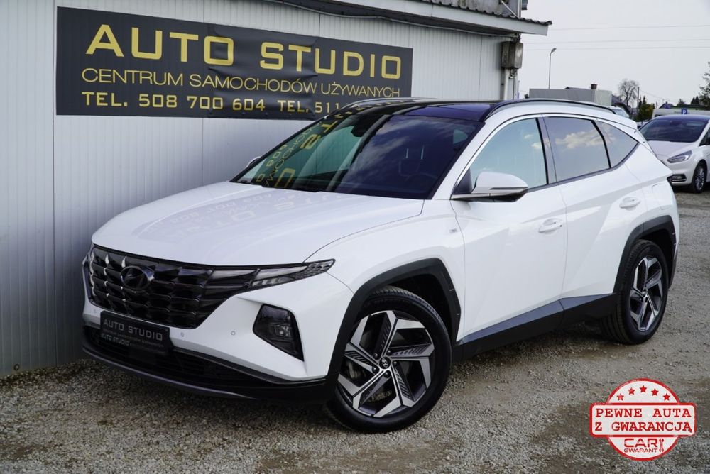 Hyundai Tucson IV blue 1.6 CRDi 2WD DCT Premium 2021