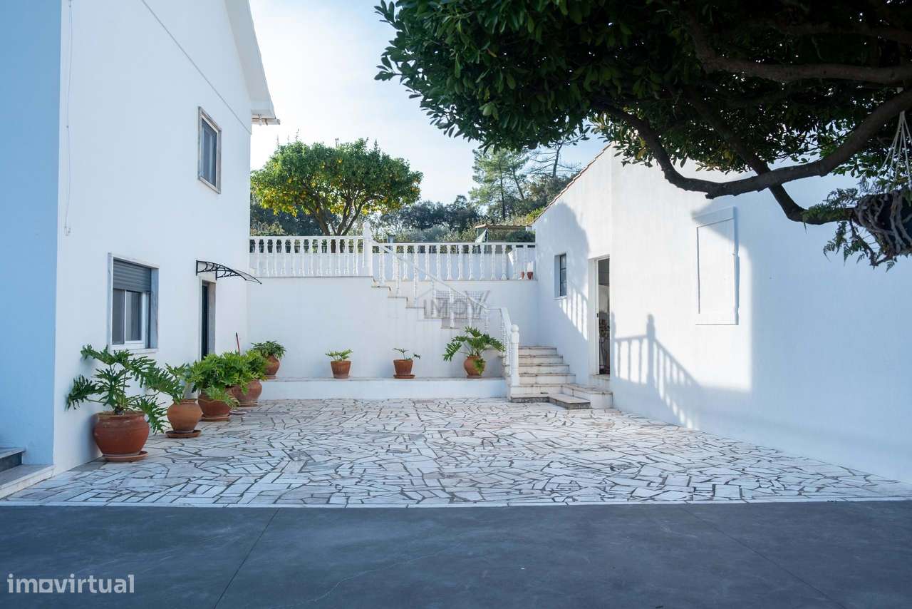 Propriedade com 2 Habitações, Anexo e Poço –  Ferreira do Zêzere - Grande imagem: 5/45