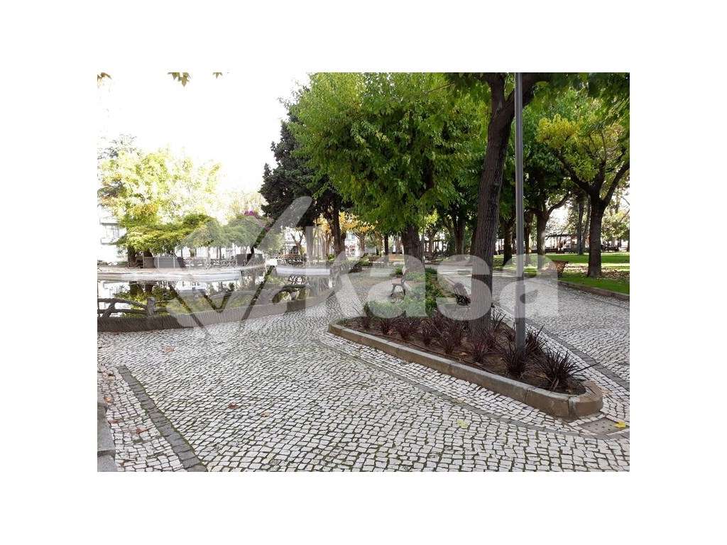 T1 Totalmente Remodelado com Logradouro - junto ao LIDL, Luso-16