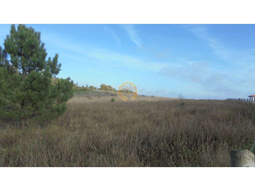 Terreno com 42500 m2. - Grande imagem: 4/7