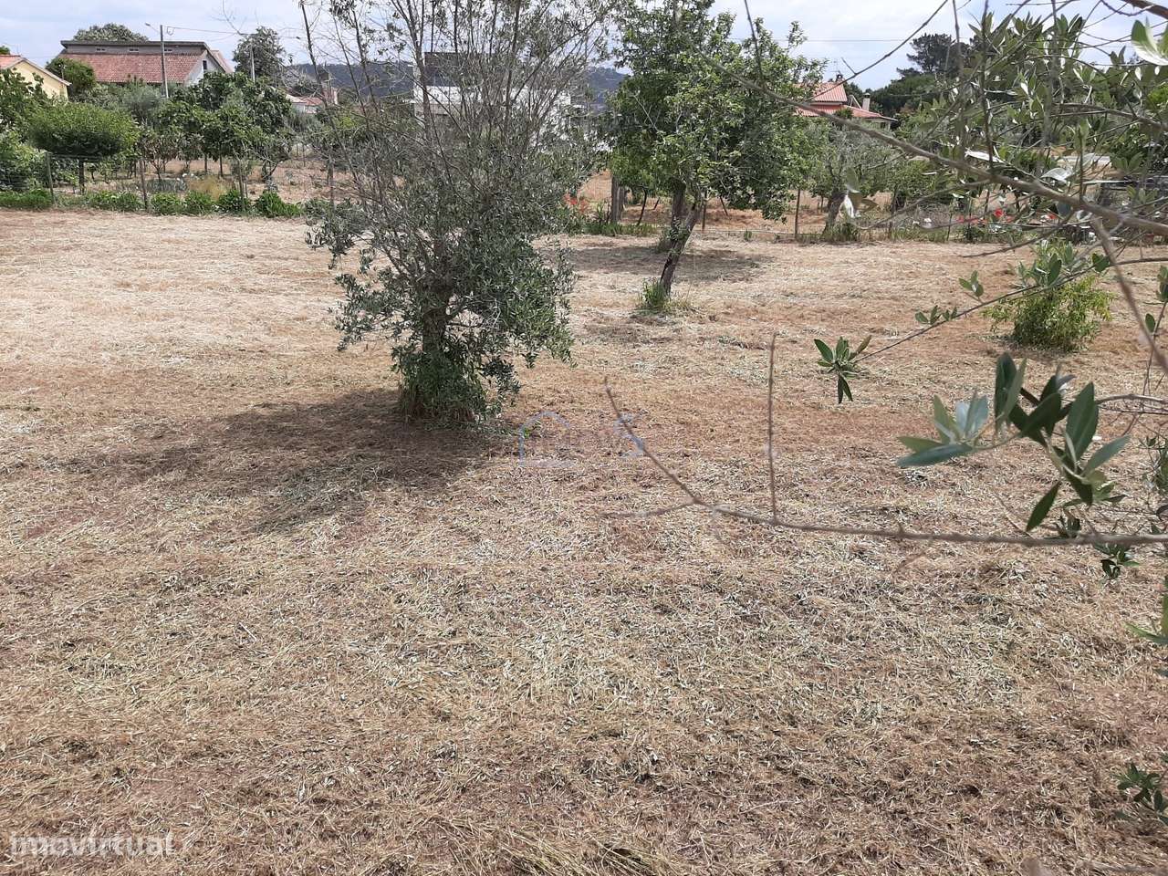 Terreno para construção na Vila de Ferreira do Zêzere-11