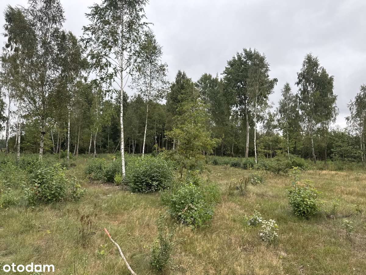 Działka bud na zamkniętym osiedlu k.Nasielska - Pełny obrazek: 4/8