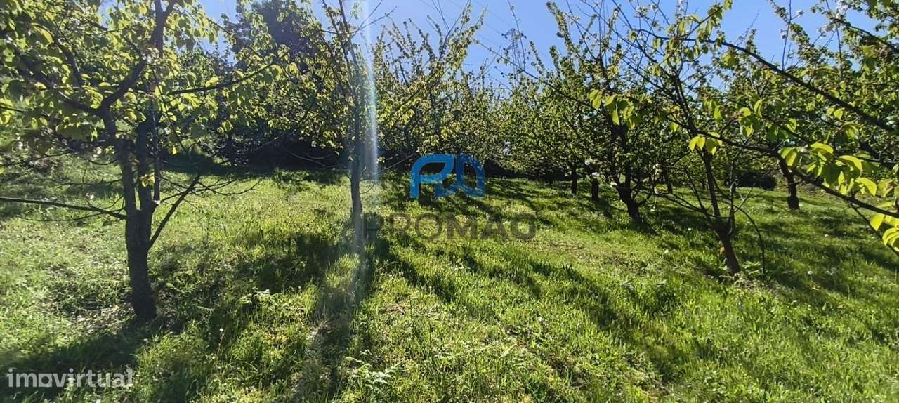 Quinta do Valado- Excelente Investimento em Resende-42