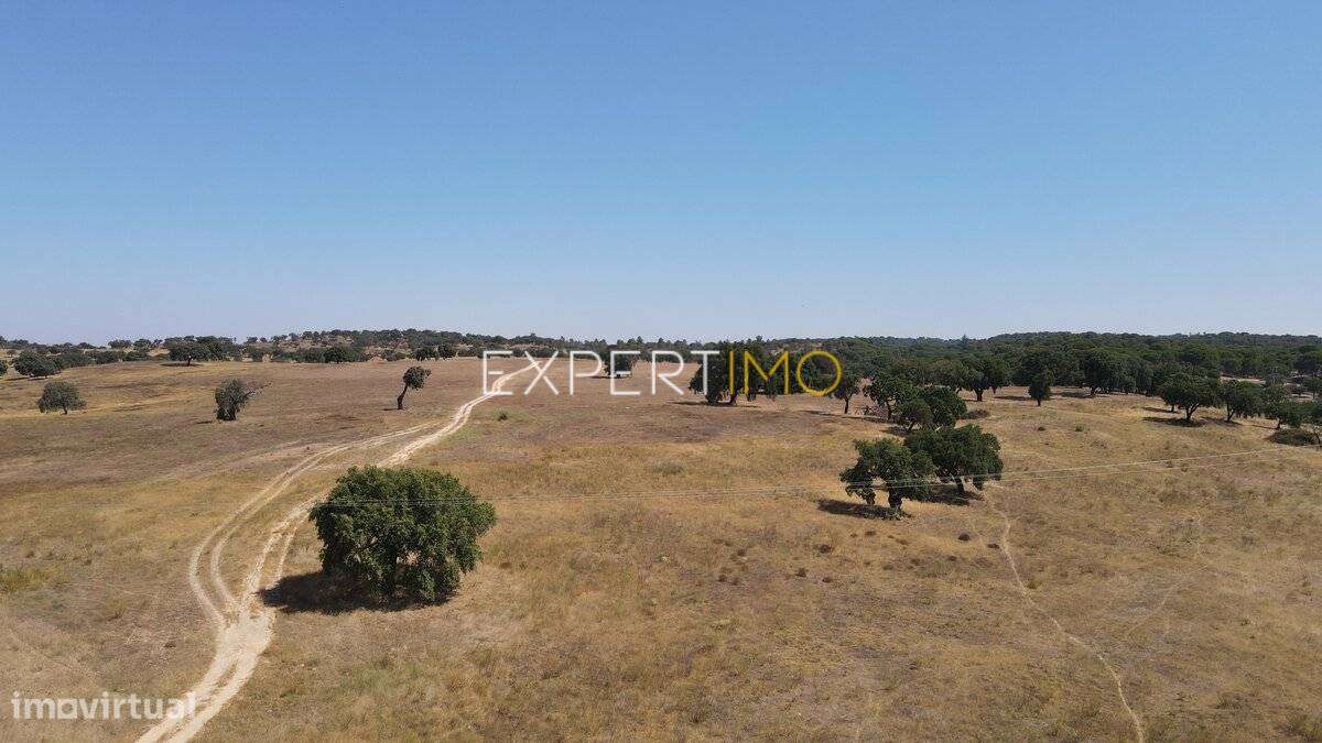 Herdade com 81,79 ha - Mora-5