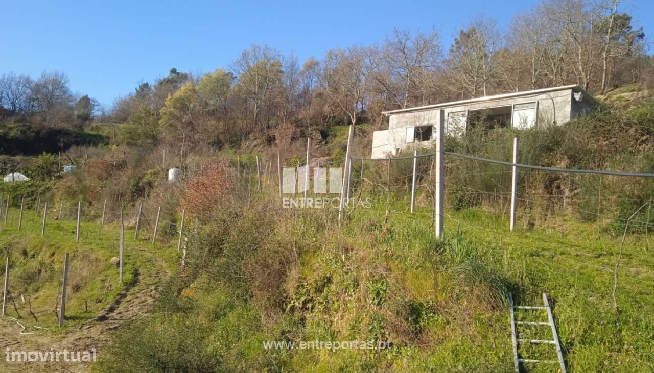 Venda Terreno 2859m2, Gôve, Baião - Grande imagem: 4/22