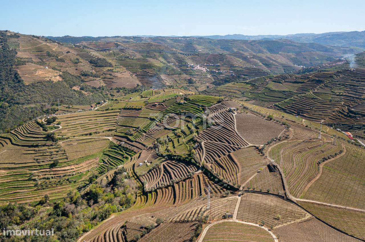 Terreno com 9 121 m2 situado em S. Marta de Penaguião - Grande imagem: 5/15