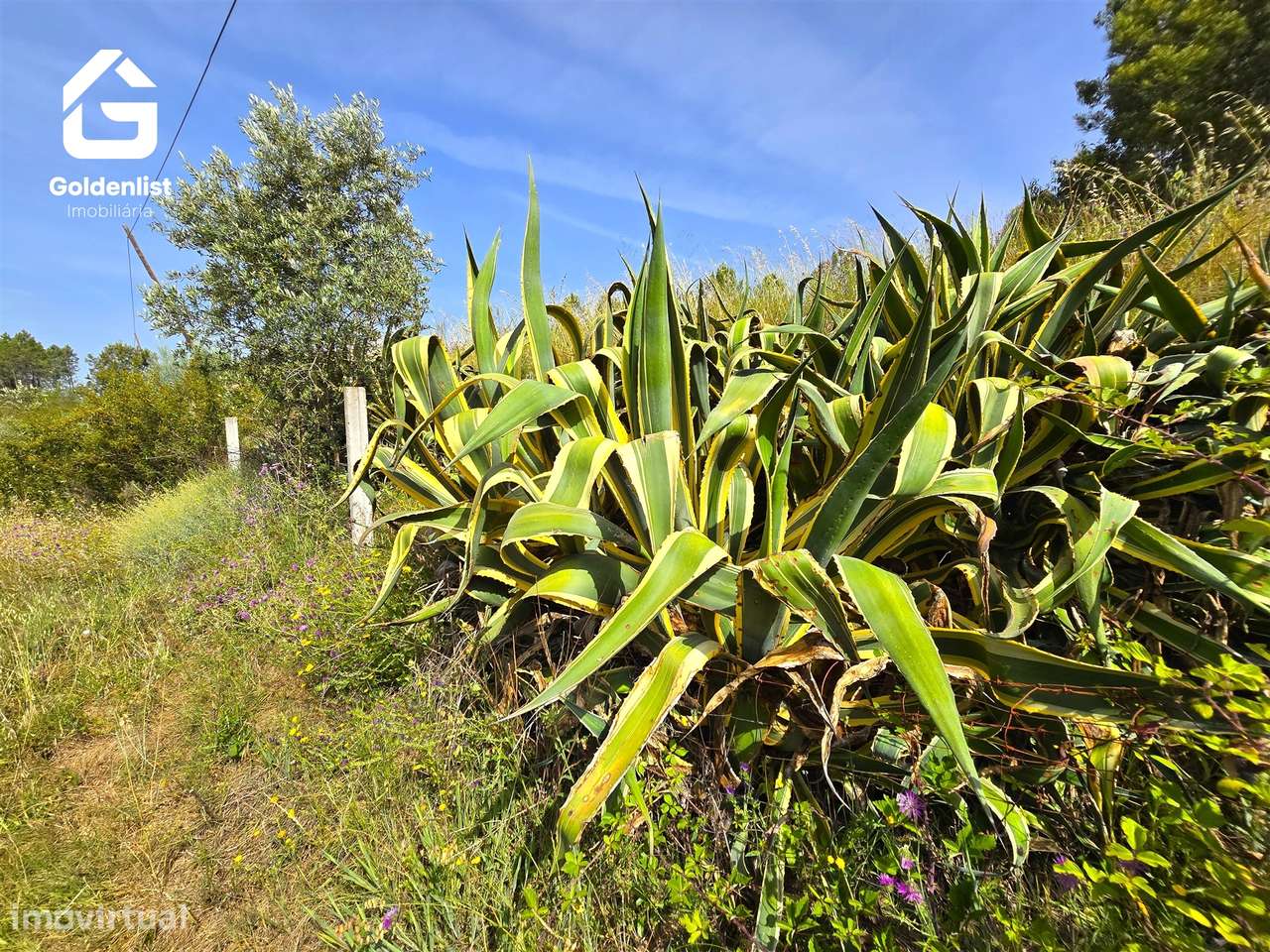 Quinta  Venda em Sarnadas de Ródão,Vila Velha de Ródão-31