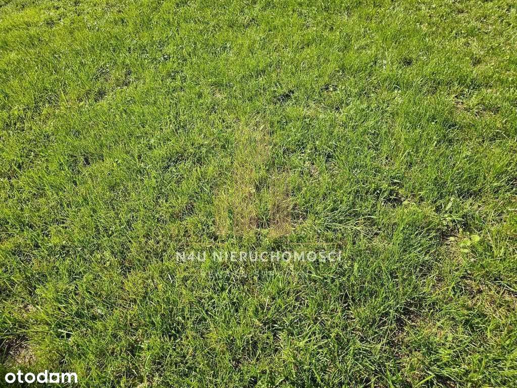 Asfalt Kanalizacja Gaz Światłowód Prąd Gaz - Pełny obrazek: 5/5