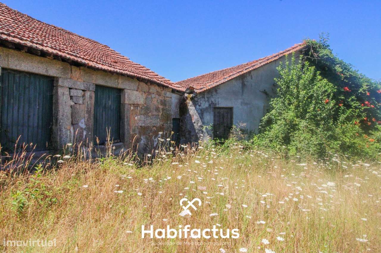 Quinta para Venda em Mangualde - Grande imagem: 5/20