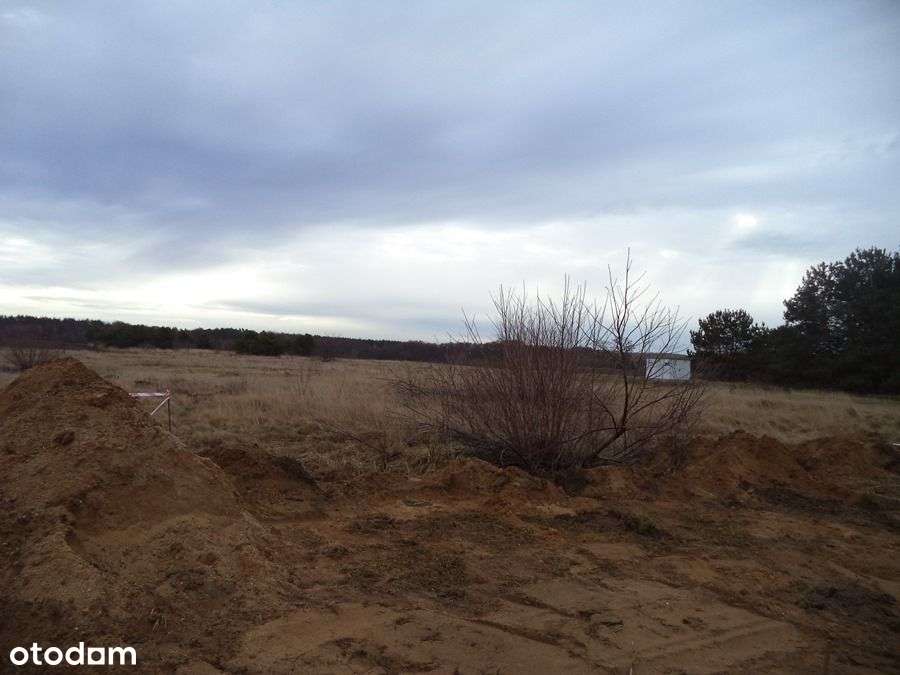 Działki w Kadłubii - Pełny obrazek: 4/12