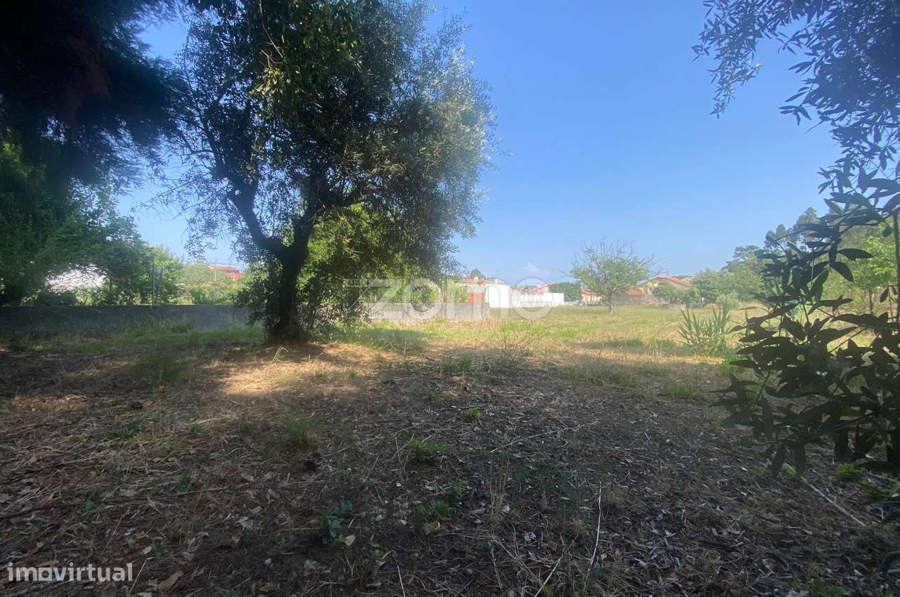 Lote de terreno - Grande imagem: 4/25