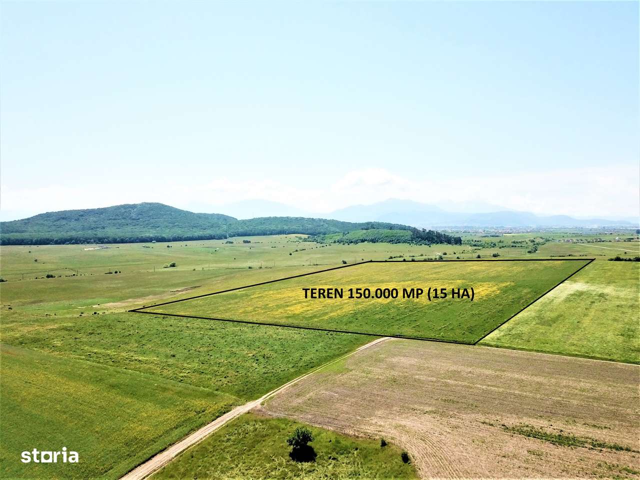 Teren Bod - ideal dezvoltare cartier rezidential-6