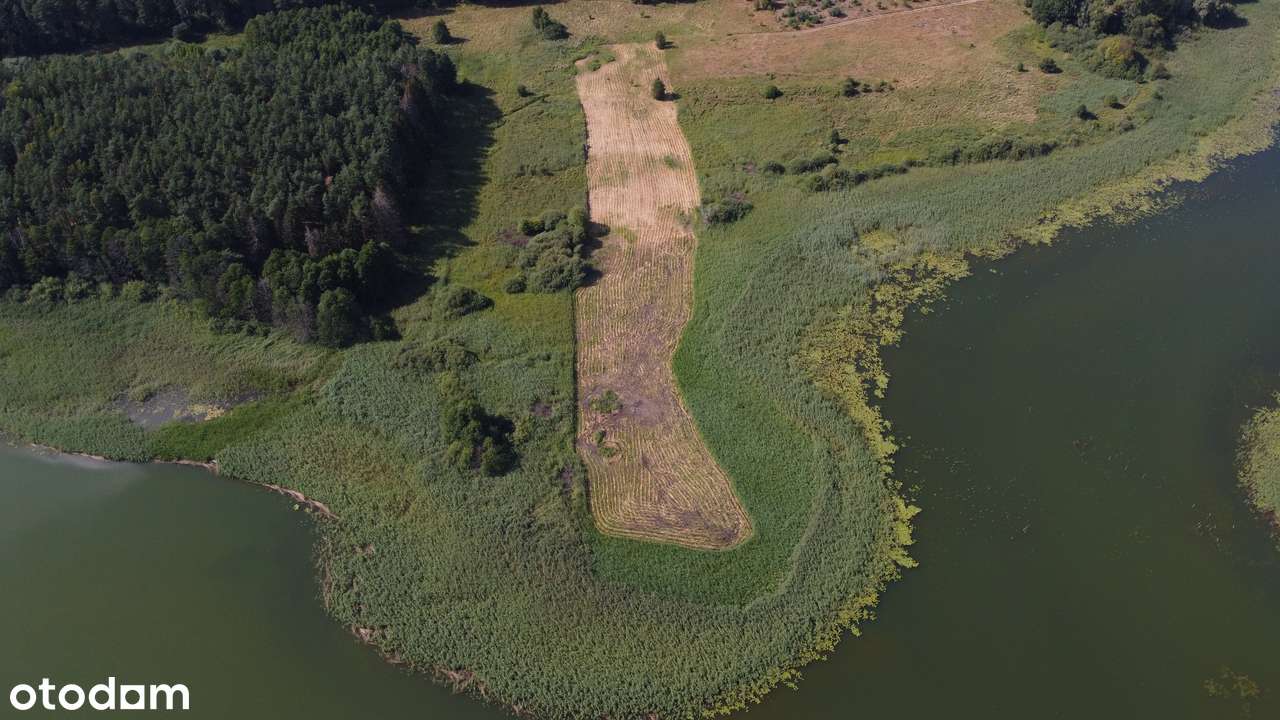 Działka z linią brzegową jeziora Gwieździn - Pełny obrazek: 5/8