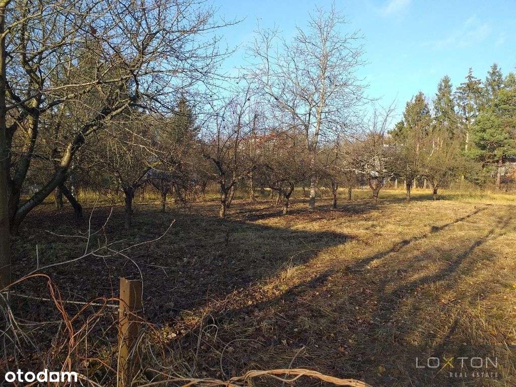 1 km od Puławskiej Przy Lesie Kabackim-1