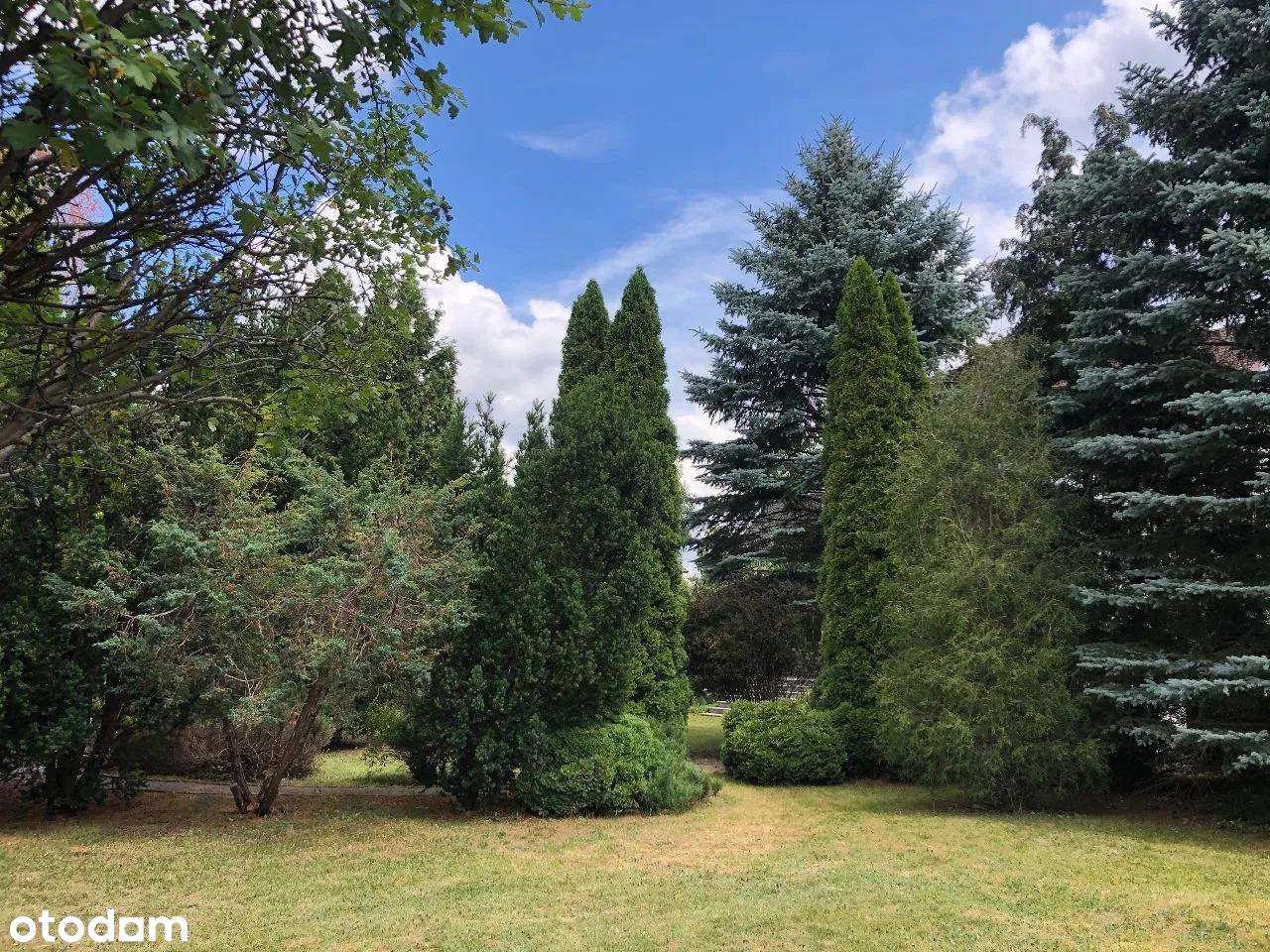 Grabówka - przestronny dom do zamieszkania - Pełny obrazek: 4/6