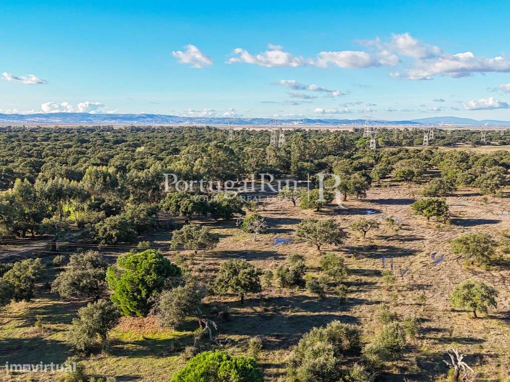 Herdade de 60 hectares para criação bovina e equina perto de Lisboa-55