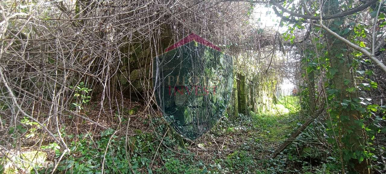 Quinta  Venda em Silgueiros,Viseu-15