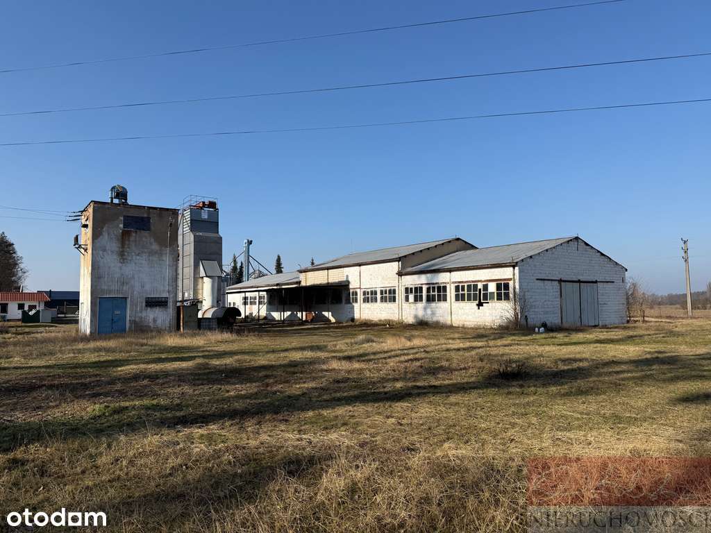 Z potencjałem przy drodze 187 i obwodnicy Szamotuł - Pełny obrazek: 5/9
