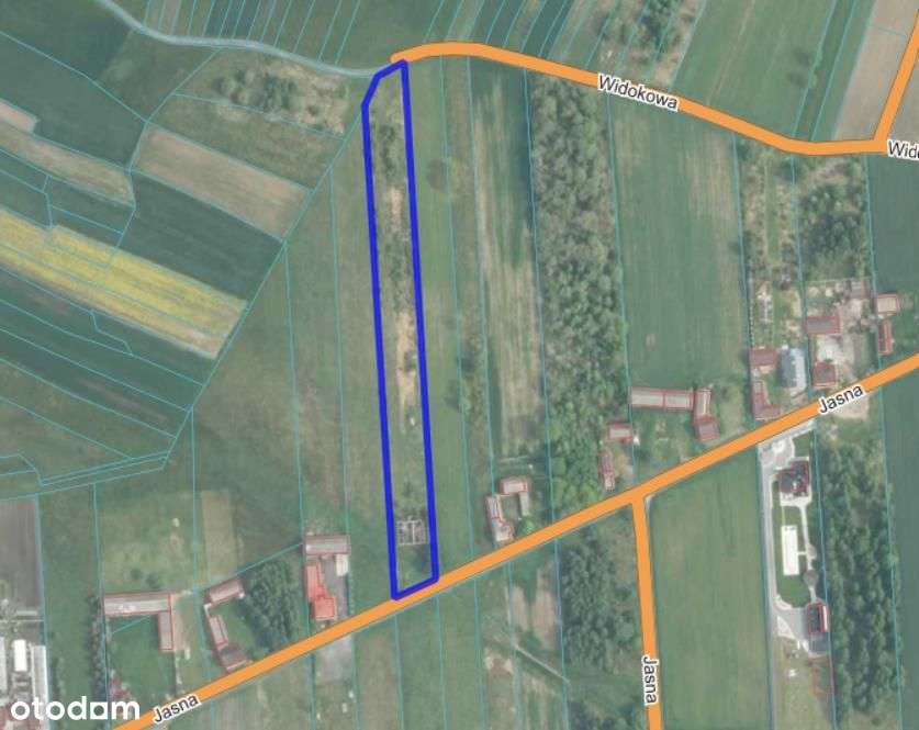 ✅ Duża działka budowlana w spokojnej okolicy - Pełny obrazek: 4/8