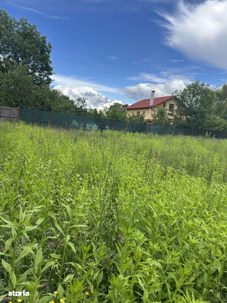 CORNU  - teren intravilan 800 mp - 68 Euro/mp - Imagine principală: 2/5