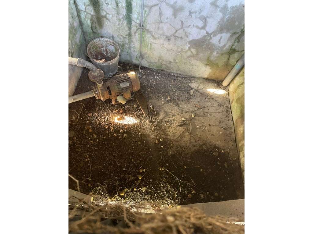 TERRENO P/ CONSTRUÇÃO - MURTOSA - Grande imagem: 4/8