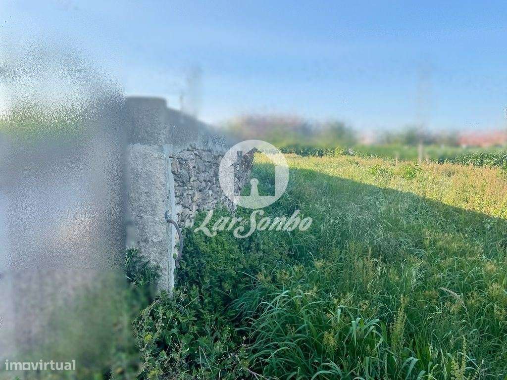 Terreno Agrícola c/ 2200m2, murado em Rates, Póvoa de Varzim - Grande imagem: 3/3