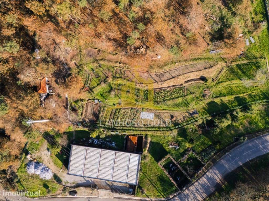 Quinta com Terreno, Armazém e Ruína em Gonça, Guimarães - Oportunid...-25