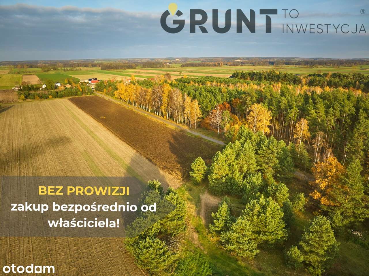 Działki budowlane pod lasem - Pełny obrazek: 4/9