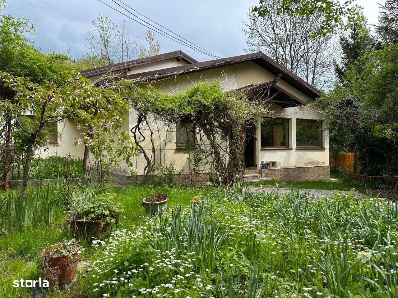 Casa de vacanta/ rezidentiala -220mp-0