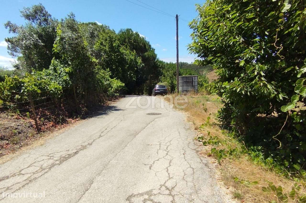 Terreno Almagreira-16